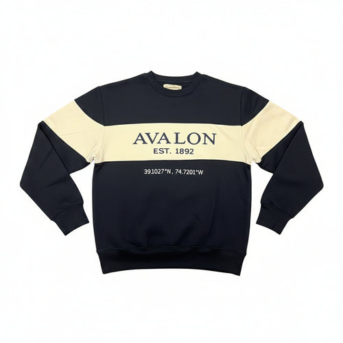 avalone スウェット Avalon Coordinate Crewneck