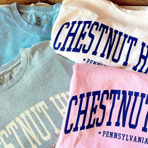Chestnut Hill T-Shirt