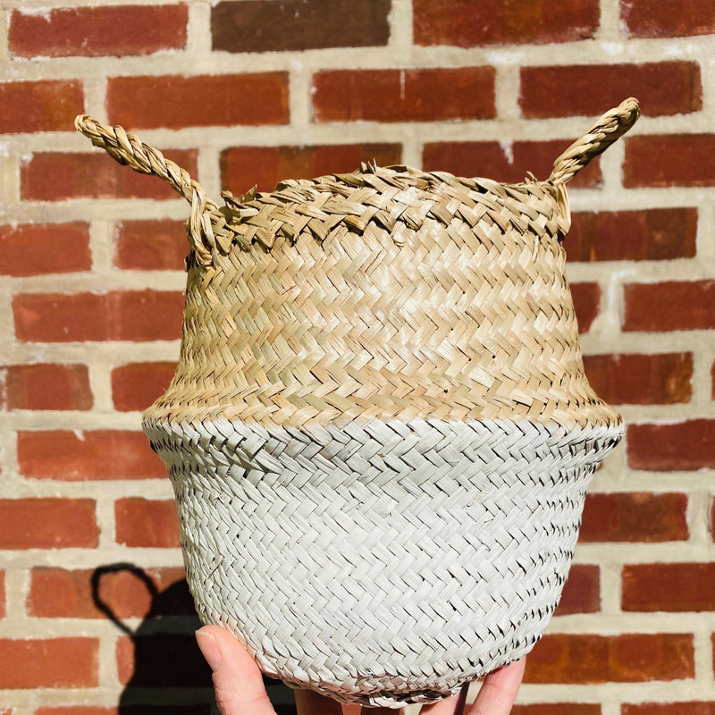 8" Seagrass Basket with White Bottom